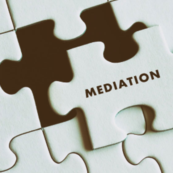 missing mediation puzzle piece